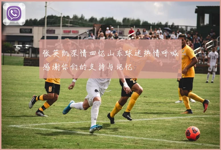 张英凯深情回忆山东球迷热情呼喊感谢你们的支持与记忆